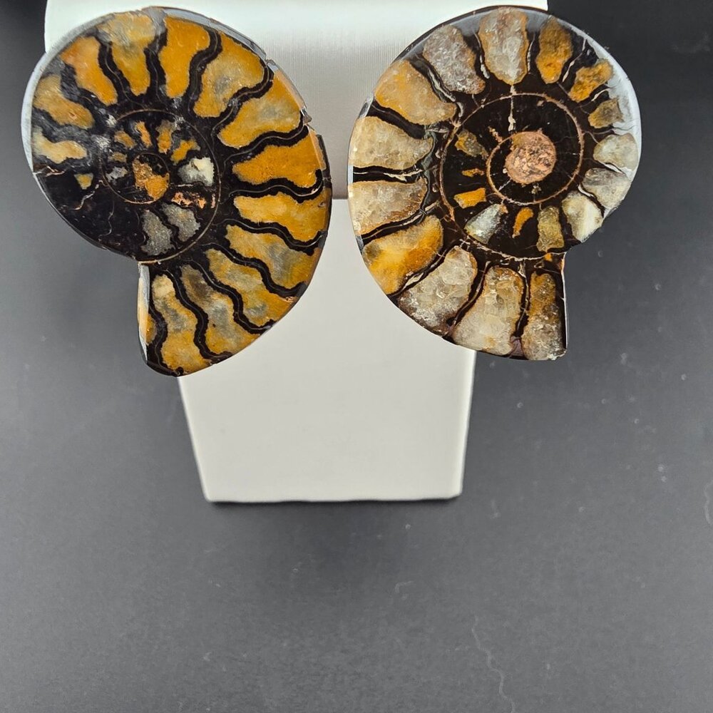 Rare Vendome Ammonite Fossil Clip-On Earrings Yellow & Brown Vintage READ - Picture 2 of 8